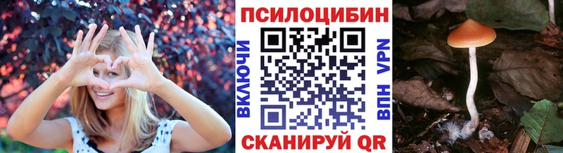 хочу   Сорочинск  OMG ССЫЛКА  Галлюциногенные грибы прущие грибы 