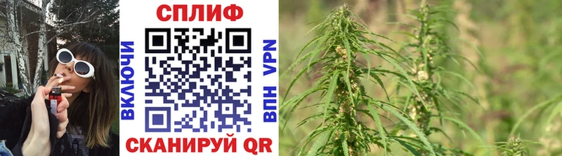 Бошки Шишки Amnesia  даркнет официальный сайт  Сорочинск 